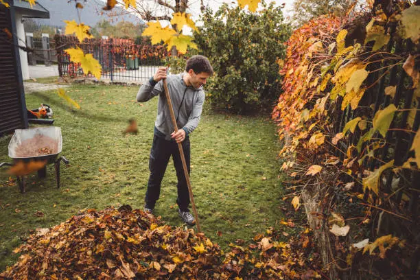 How To Clean A Backyard Erie, PA