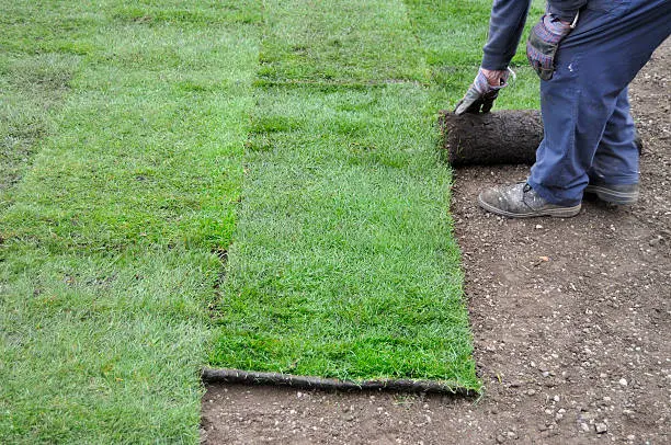 How long after installing sod can you walk on it in Erie, PA