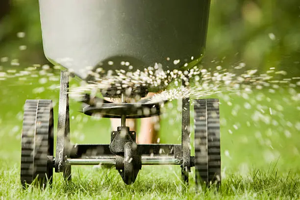 How often should you fertilize your lawn Erie, PA