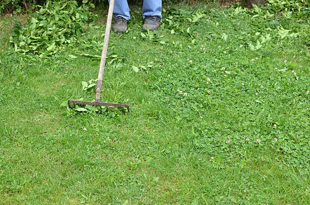 How to clear a yard full of weeds Erie, PA