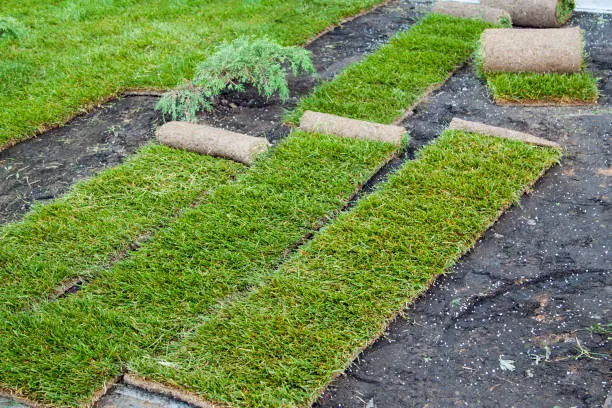 How to lay sod over existing lawn in Erie, PA