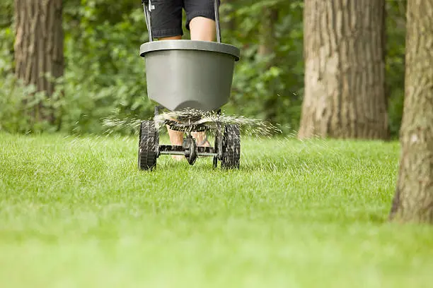 Lawn Fertilization in Erie, PA