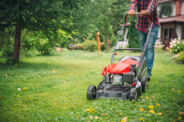 Lawn Mowing Erie, PA