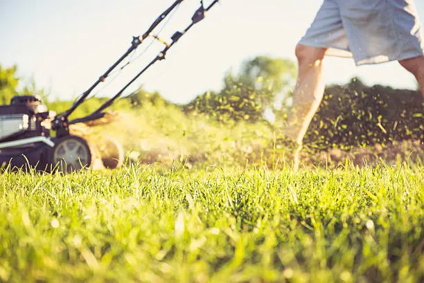 Lawn Mowing in Erie, PA