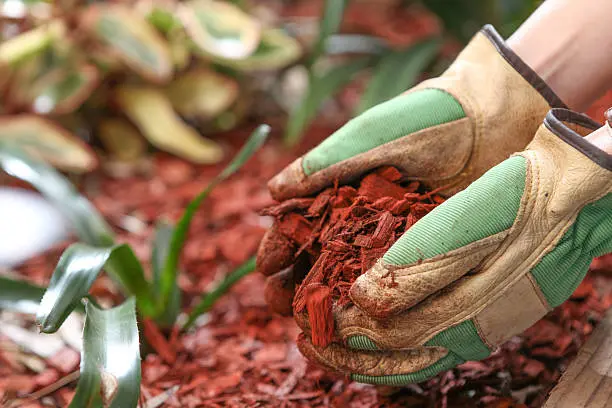 Mulching Erie, PA