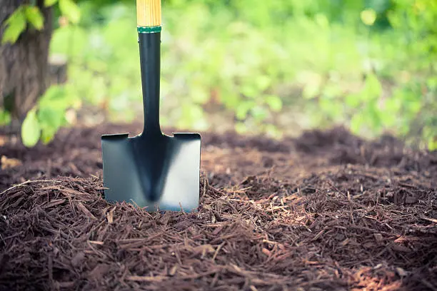 Mulching in Erie, PA