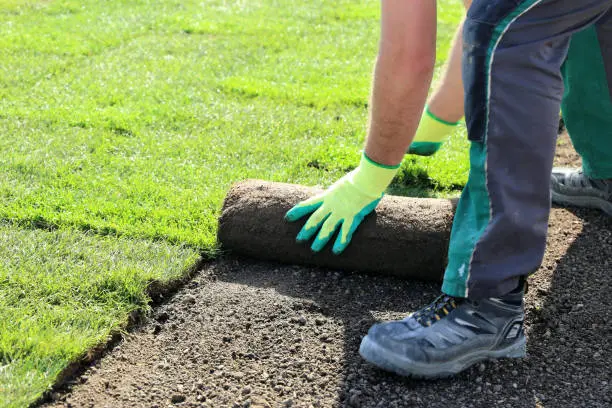 Sod Installation Erie, PA