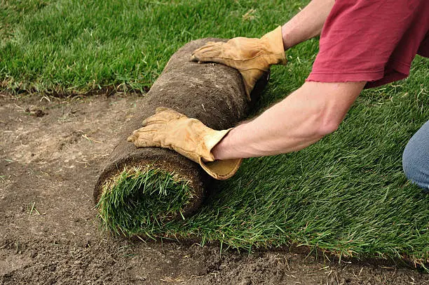 Sod Installation in Erie, PA