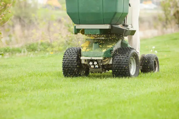 When is the best time to fertilize your lawn Erie, PA