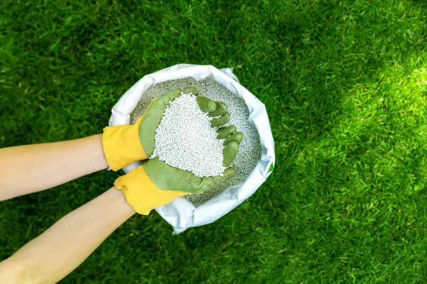 When is the best time to fertilize your lawn in Erie, PA